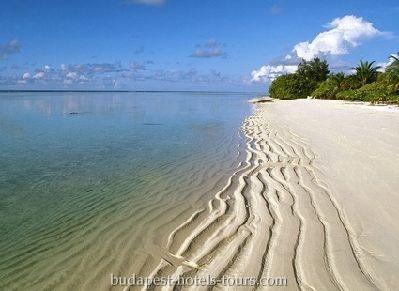 Горнолыжный отдых без лыж. Сани! Тобоган! Доска! goa_1212_1267213596