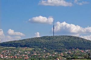 Сербия: Музей ракии открылся в Белграде wpid-1443478469578